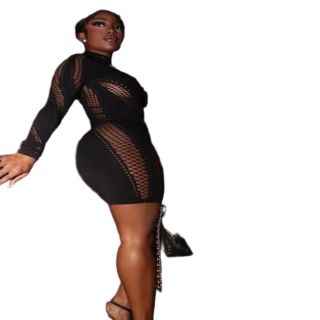 Elegant Sheer Black Bodycon Party Dress - Elevate Your Elegance - CasualFlowshop